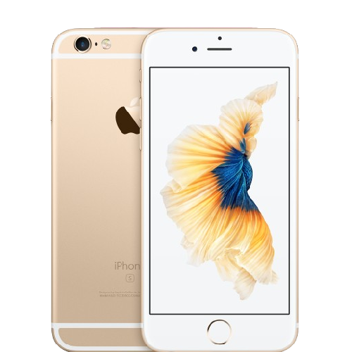 iPhone 6 Plus